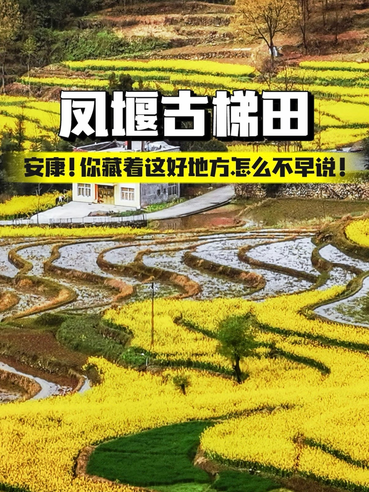 安康凤堰古梯田游玩全攻略🌾
