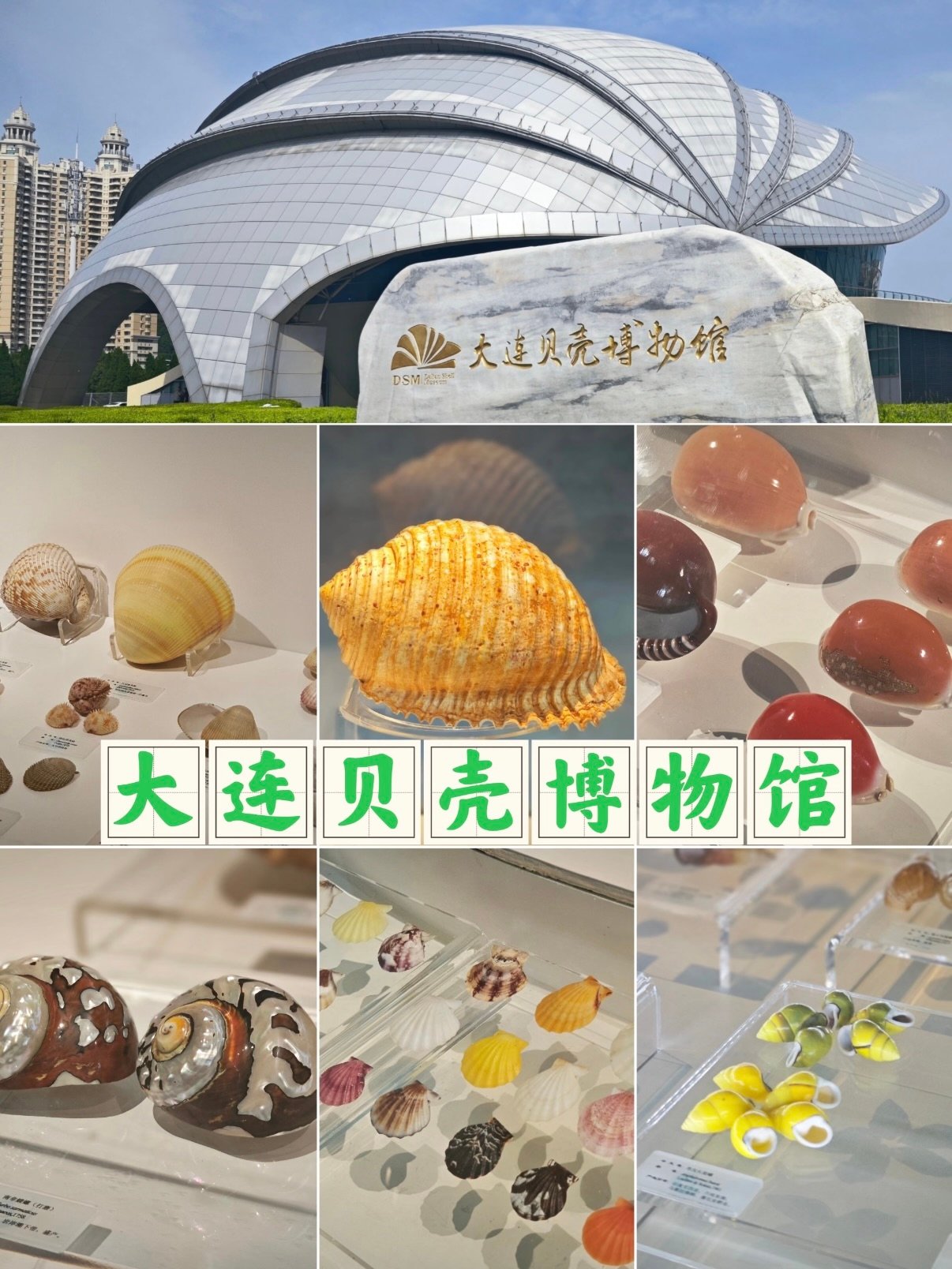 大连贝壳博物馆参观全攻略🐚