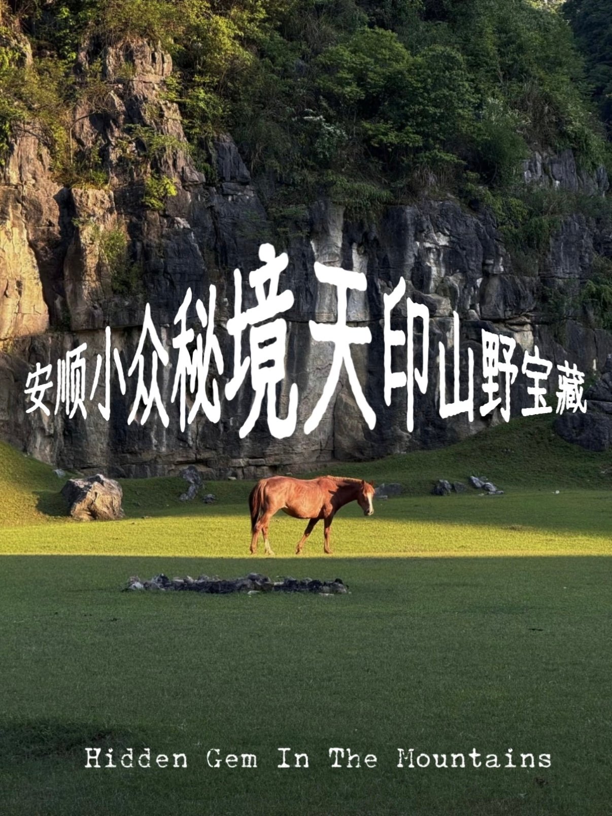 安顺天印山｜喀斯特山间大草原露营秘境🐎