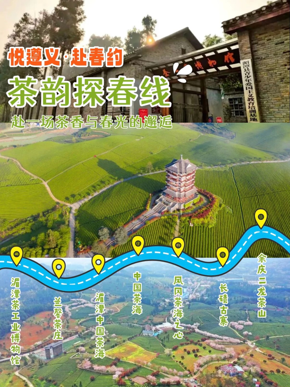 遵义茶韵探春一日游｜7 站茶园踏青路线🍵