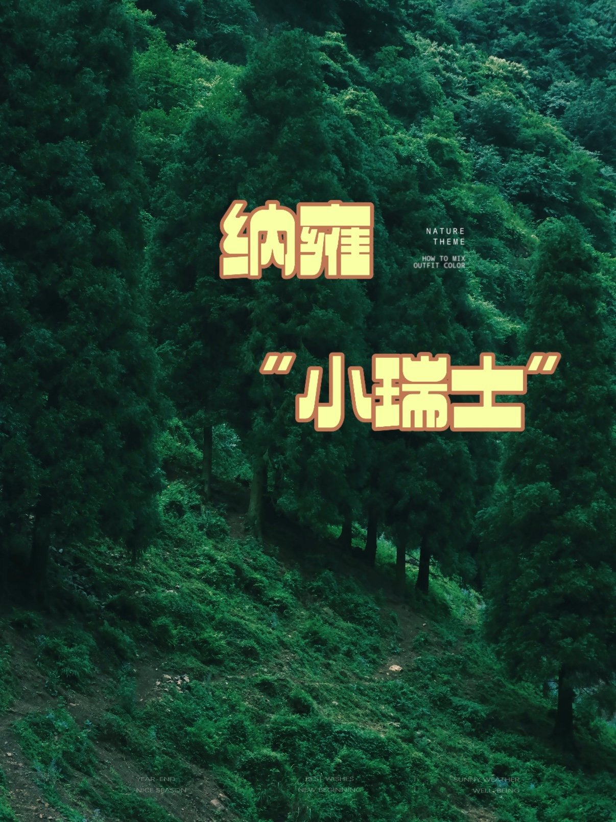 🌲 贵州纳雍｜被低估的 “小瑞士” 秘境