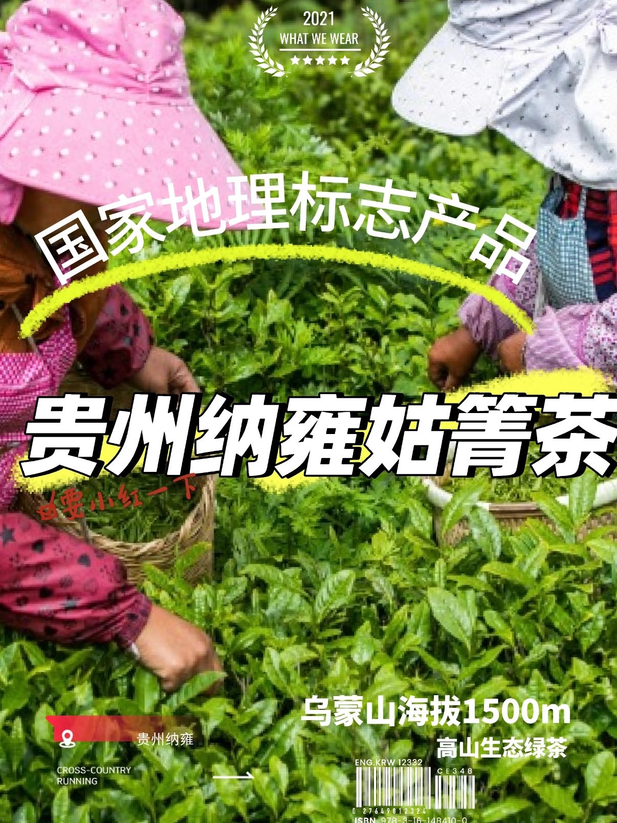 🍵被藏在乌蒙深山里的千年贡茶，终于被我挖到了！
