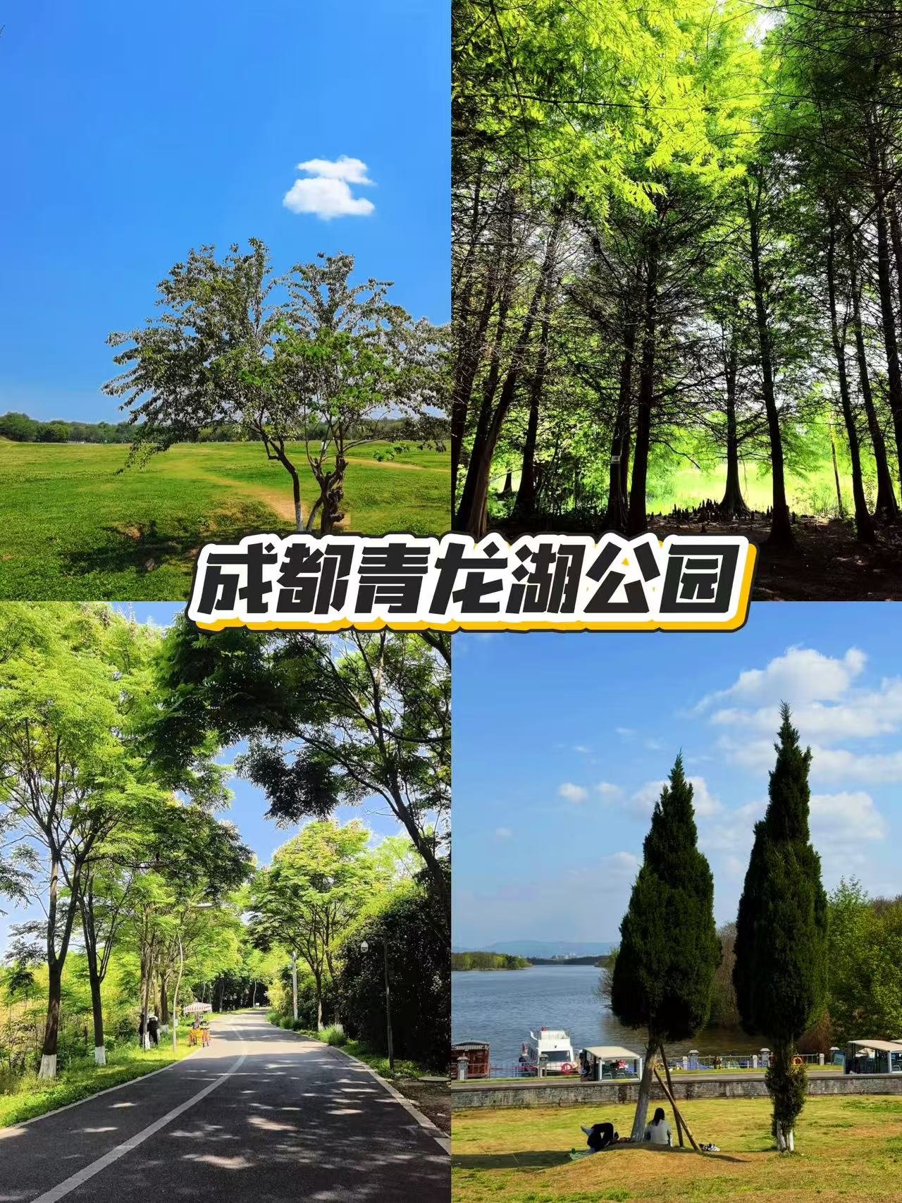 成都青龙湖湿地公园｜治愈系城市绿洲🌿