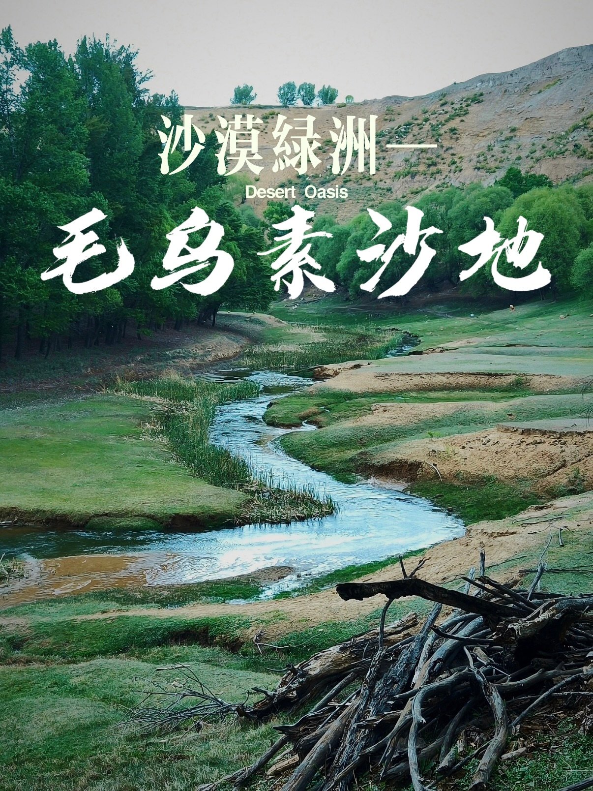 毛乌素沙地｜沙漠变绿洲奇迹自驾攻略🌿🌪️