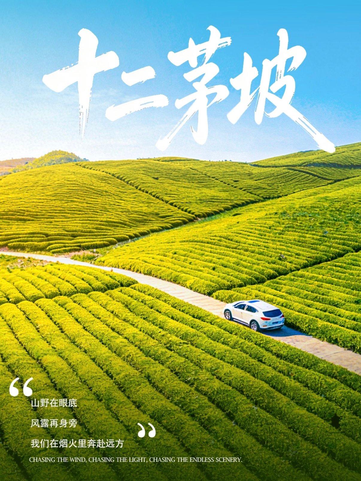 安顺十二茅坡｜贵州高山茶园自驾秘境🍃