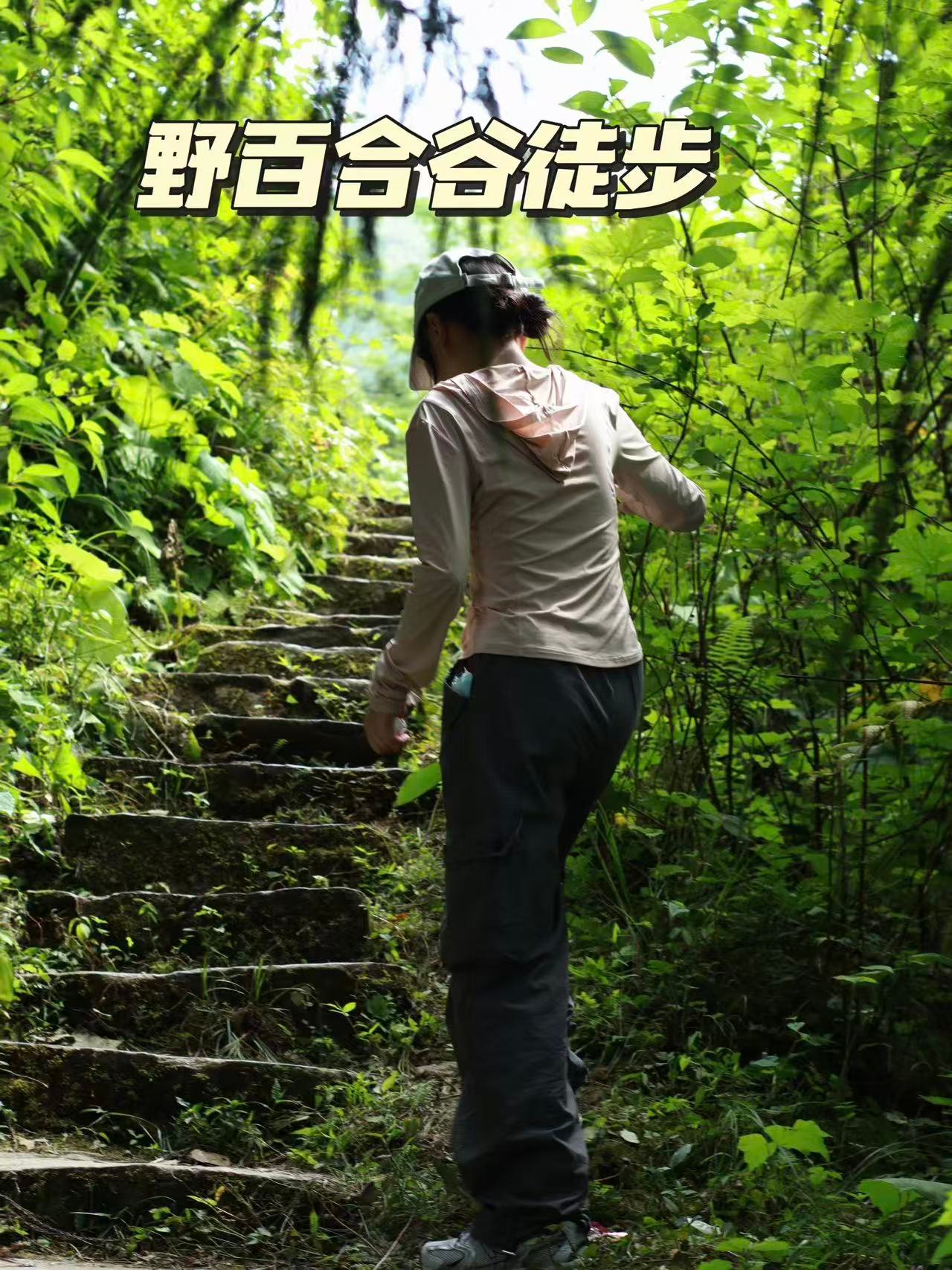 野百合谷徒步🌿成都周边初夏限定浪漫