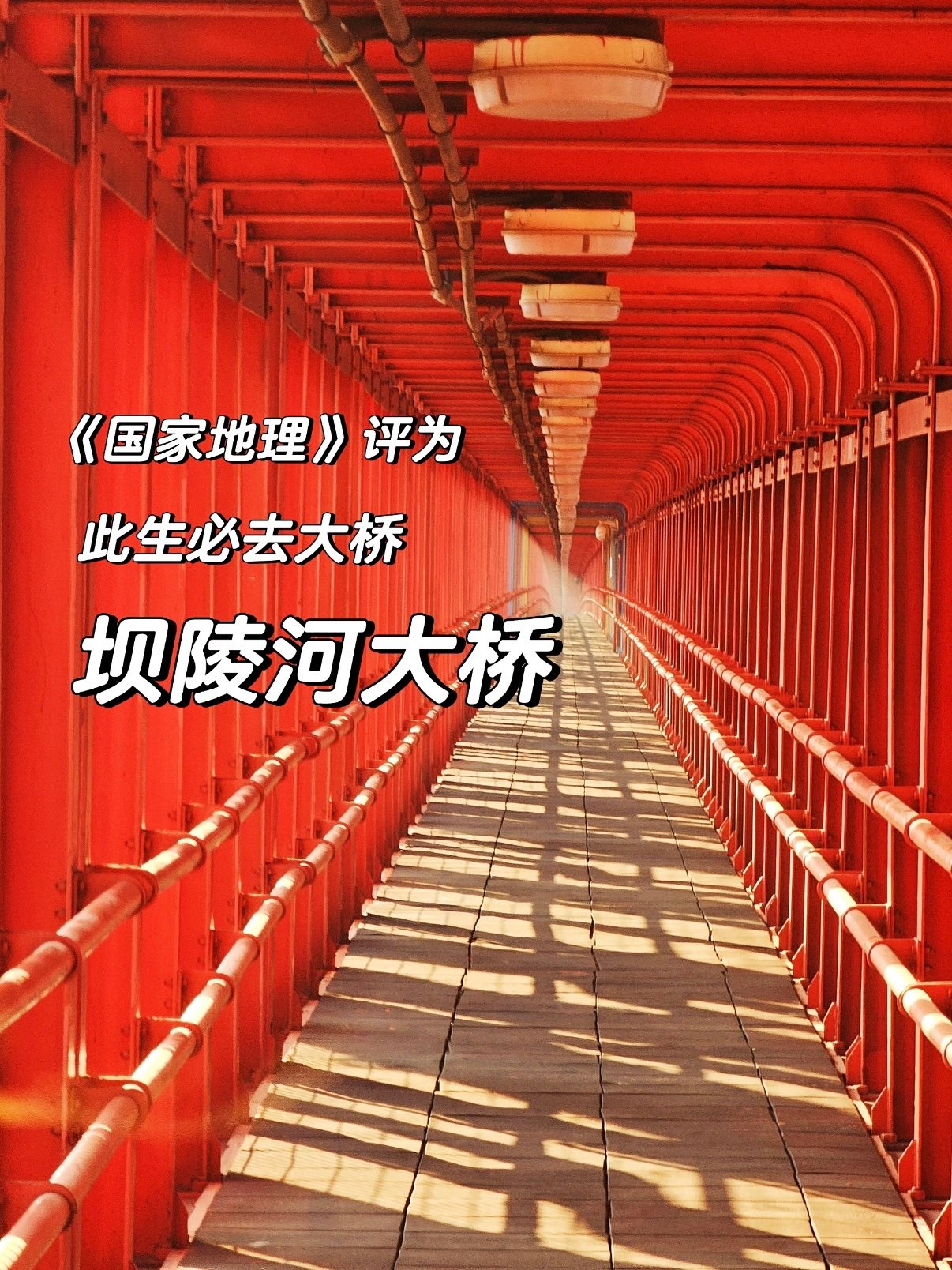安顺坝陵河大桥游玩攻略｜世界级超级高桥网红打卡地🌉