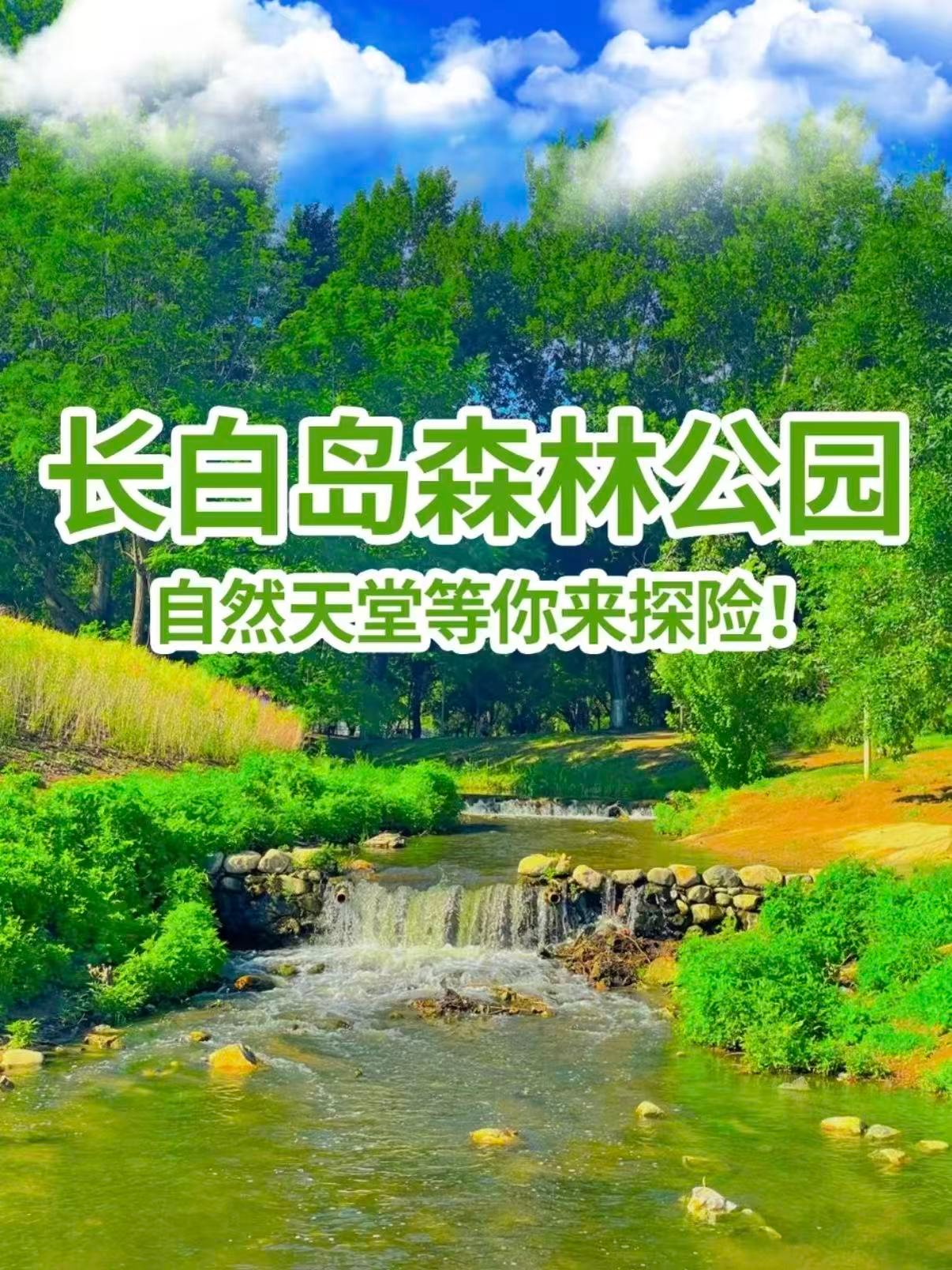 沈阳长白岛森林公园｜免费城市森系遛娃露营宝地🌿