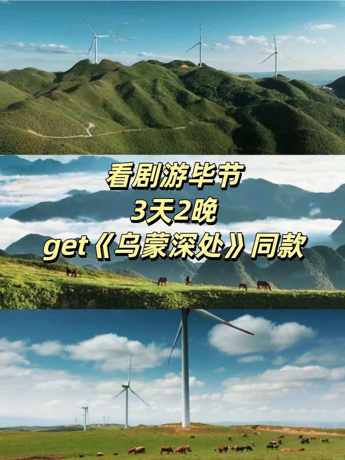 🌿 跟着《乌蒙深处》游毕节｜3 天 2 晚同款路线✨