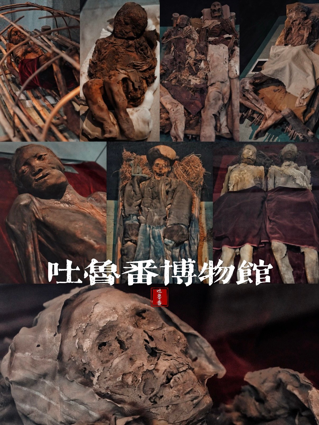 🏺 吐鲁番博物馆｜火洲里的千年文明密码✨