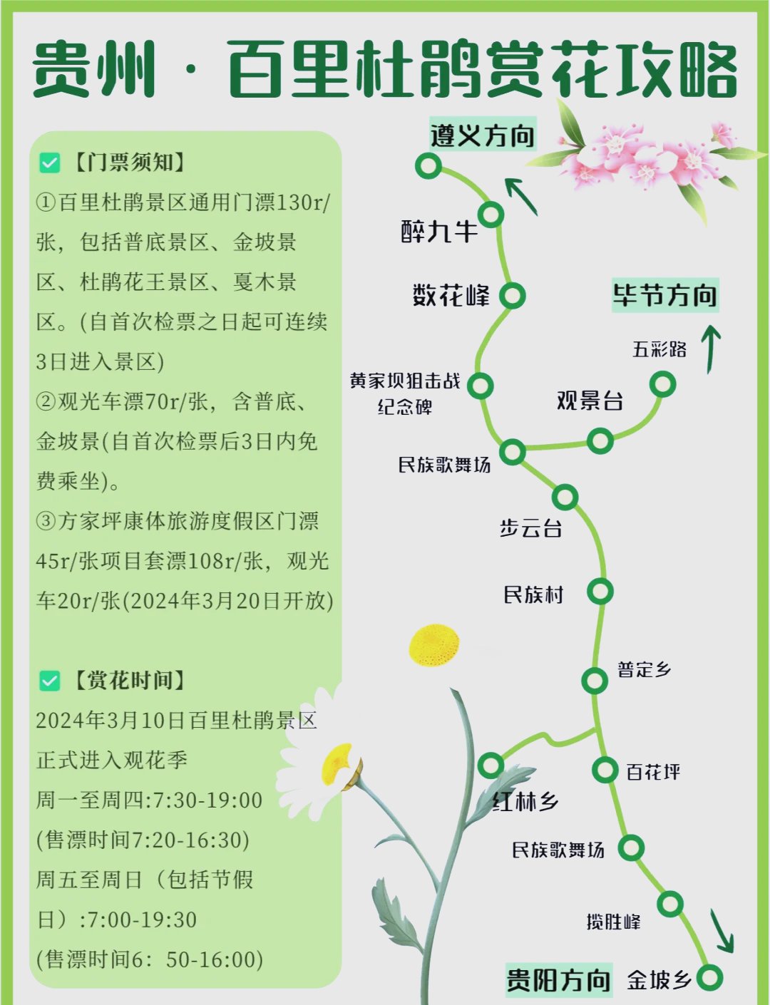 贵州百里杜鹃赏花全攻略✨