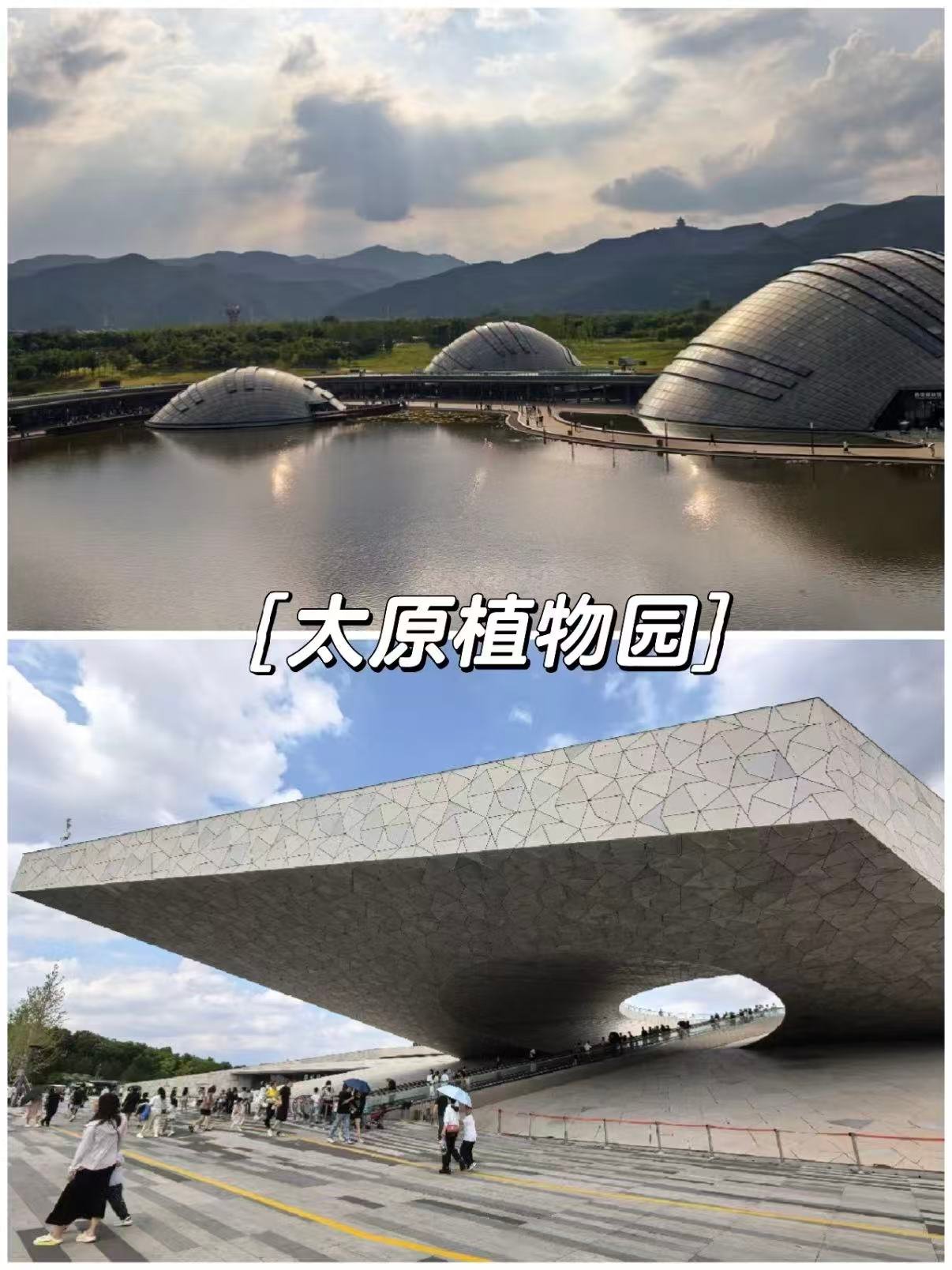 🌿 太原植物园｜被低估的 “煤老板审美” 宝藏地