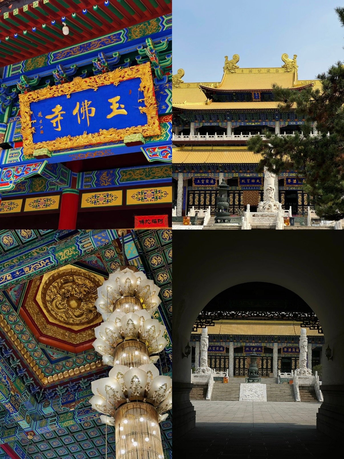 鞍山玉佛寺｜瞻仰世界最大玉佛 静心祈福圣地🙏