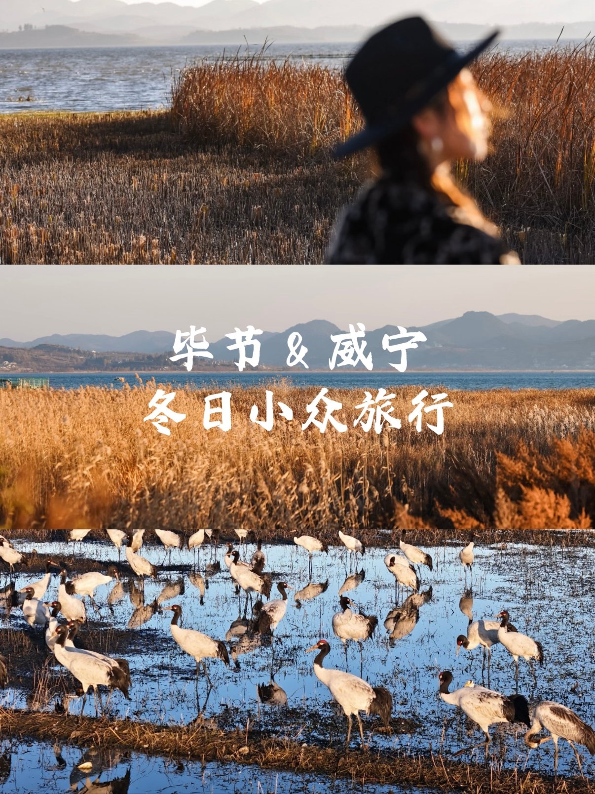 ❄️ 毕节 & 威宁｜冬日小众旅行攻略