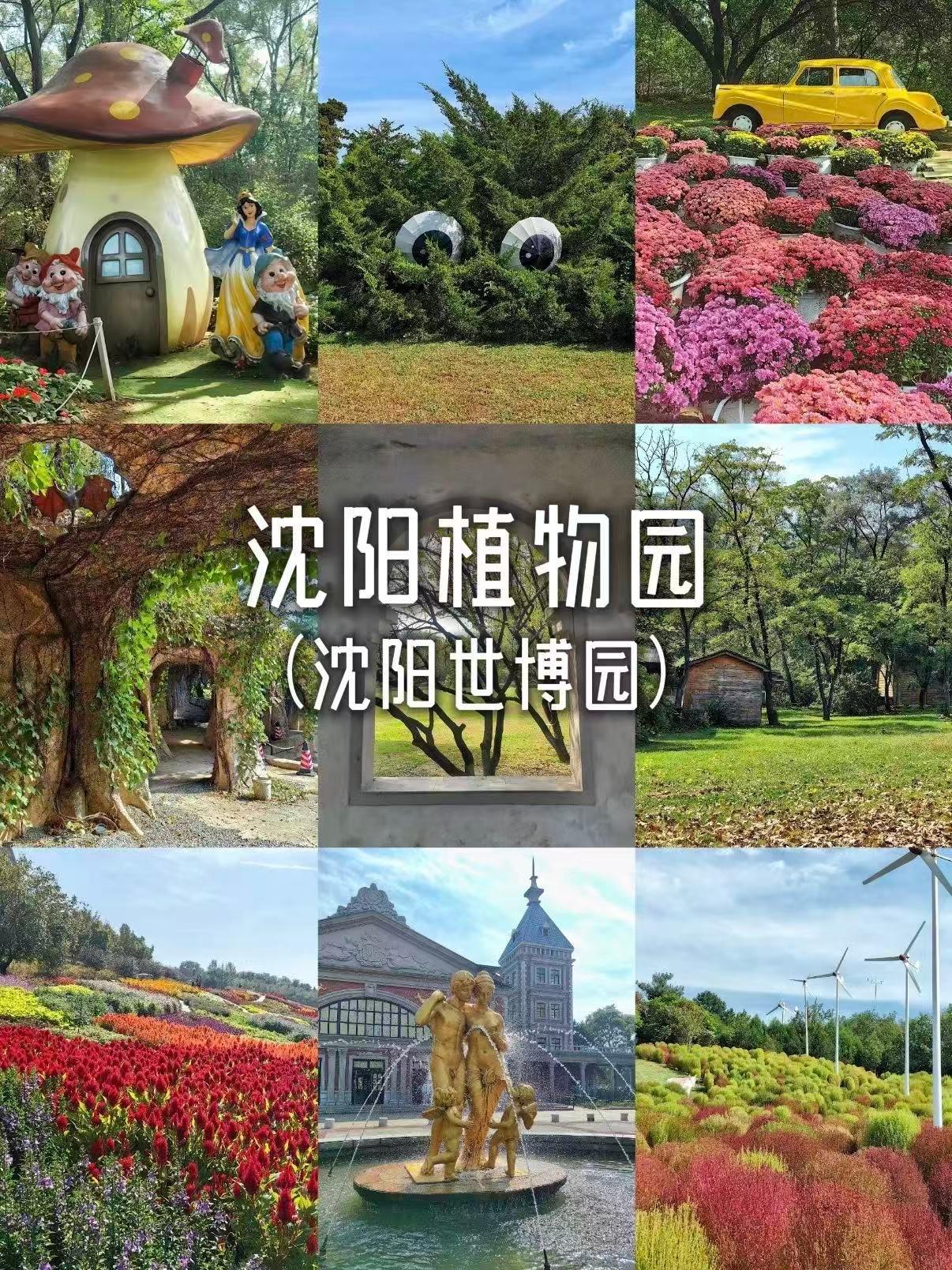 沈阳植物园（沈阳世博园）游玩全攻略🌳