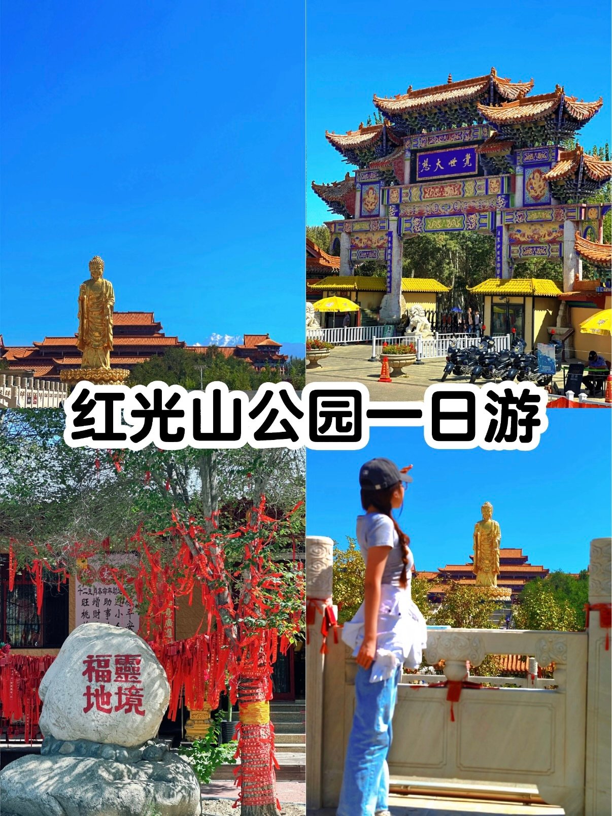 ✨ 红光山公园打卡亮点