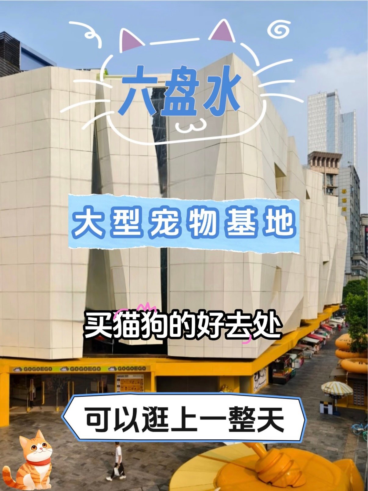 🐾 六盘水大型宠物基地｜买猫狗好去处✨