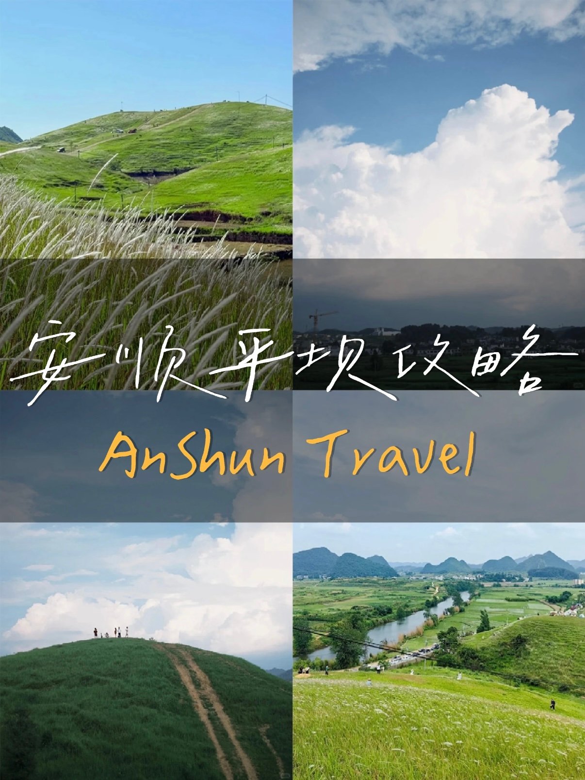 🌿高山草甸山野片区