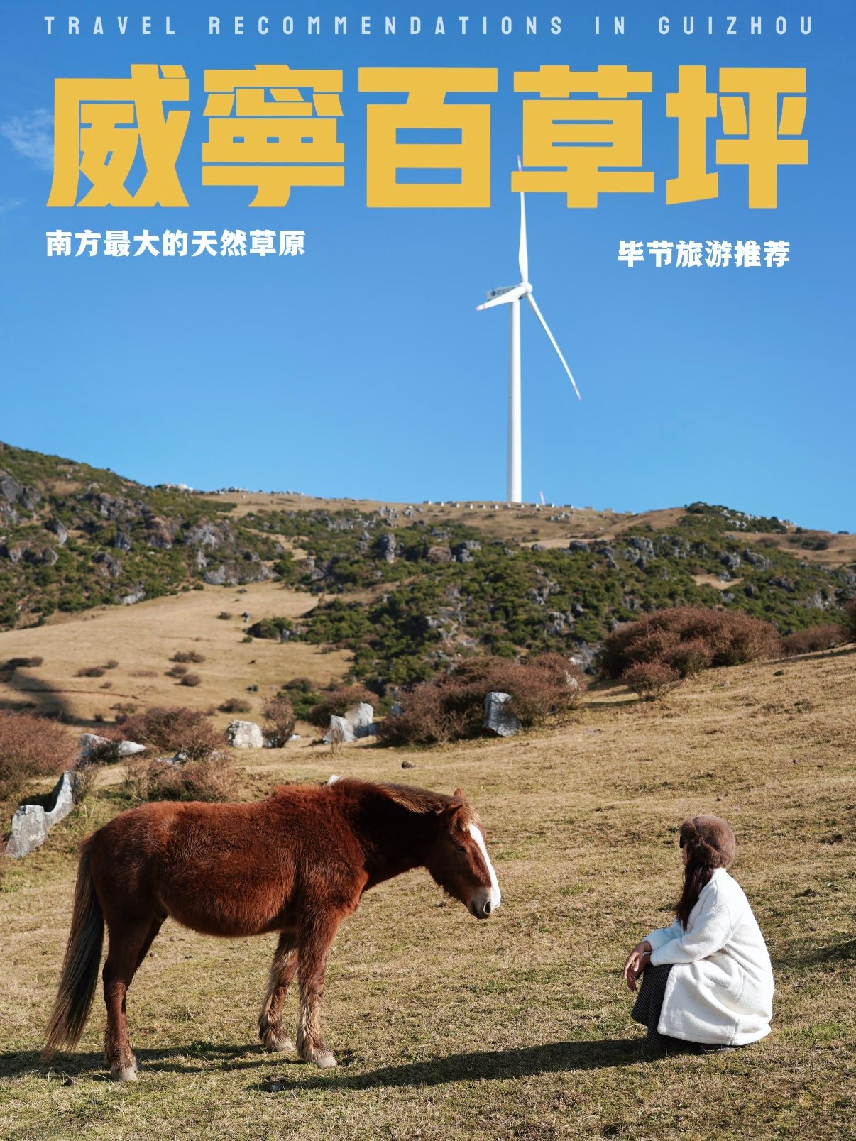 🌬️ 威宁百草坪｜南方最大的天然草原秘境