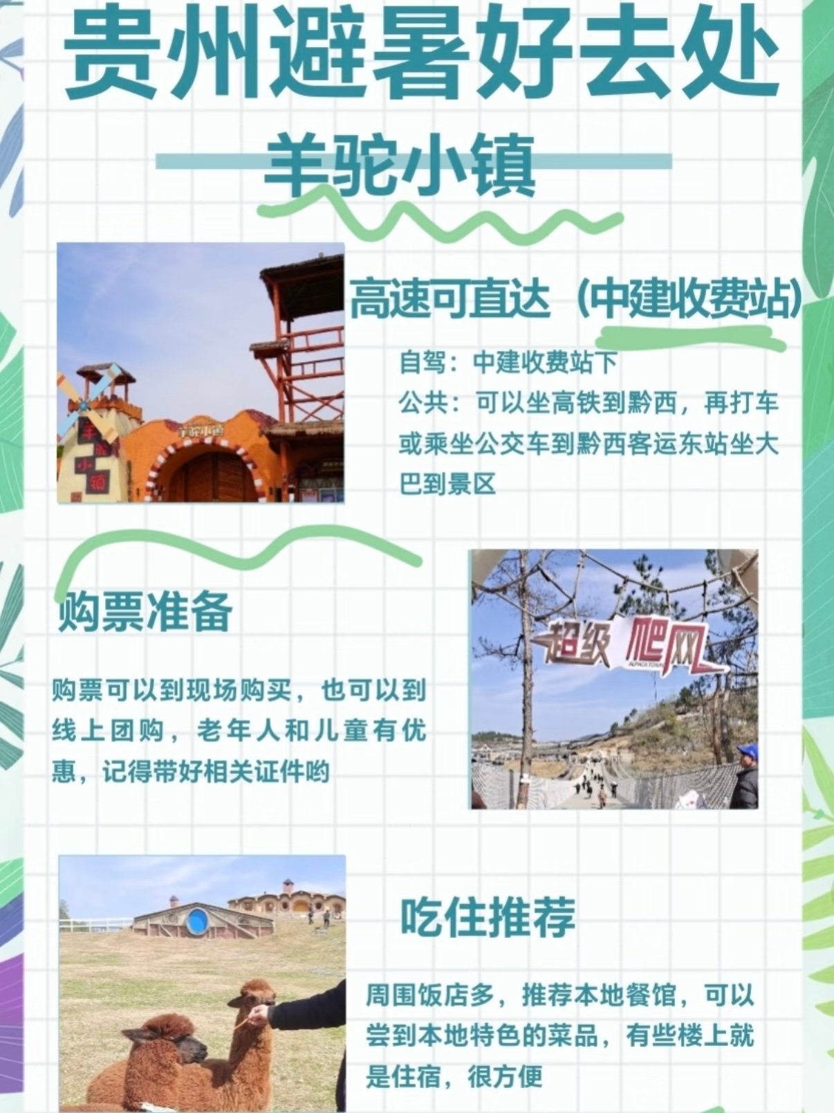 🦙 贵州黔西羊驼小镇｜超全游玩攻略