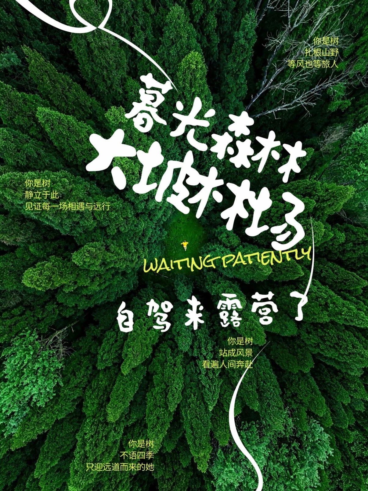 安顺大坡林场｜暮光森林自驾露营秘境🌲