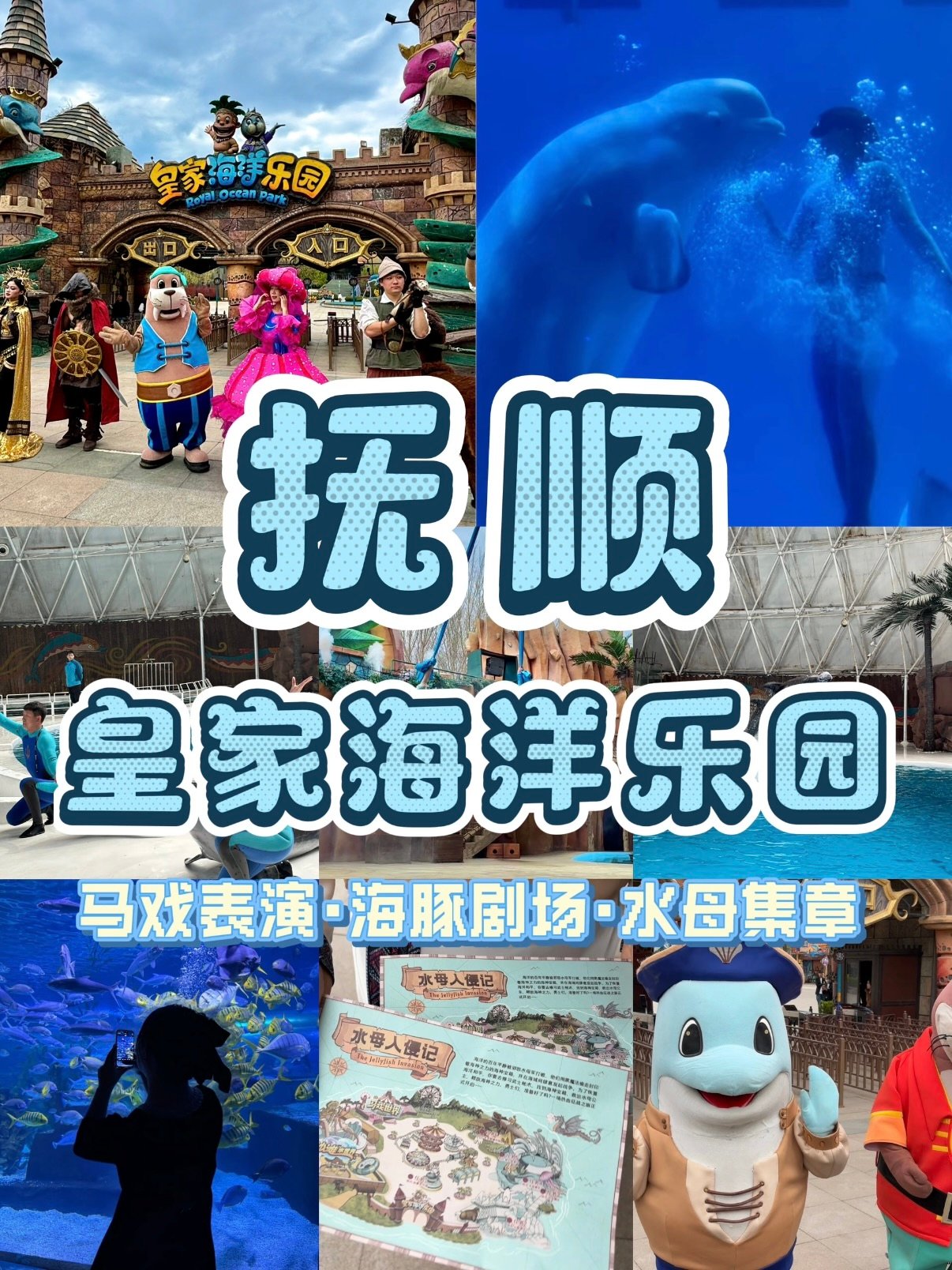 抚顺皇家海洋乐园完整游玩攻略🐬
