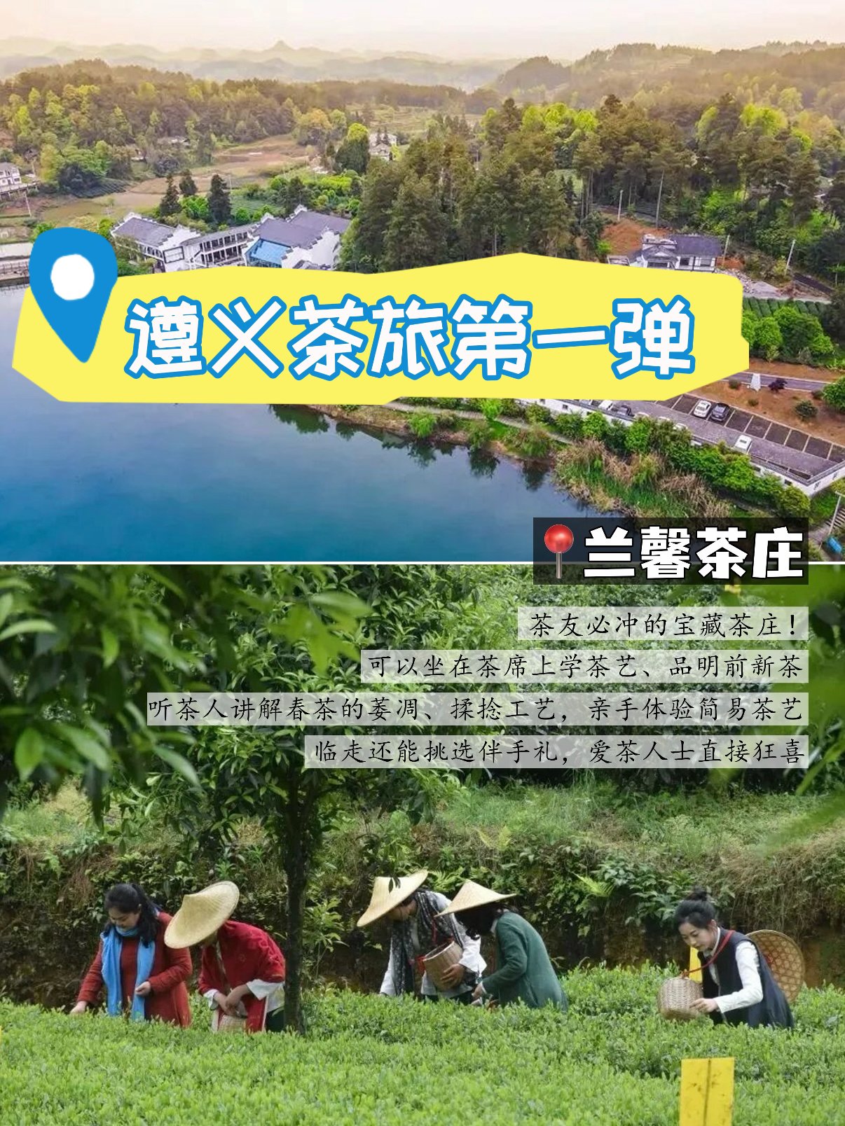 湄潭兰馨茶庄茶旅攻略🍵