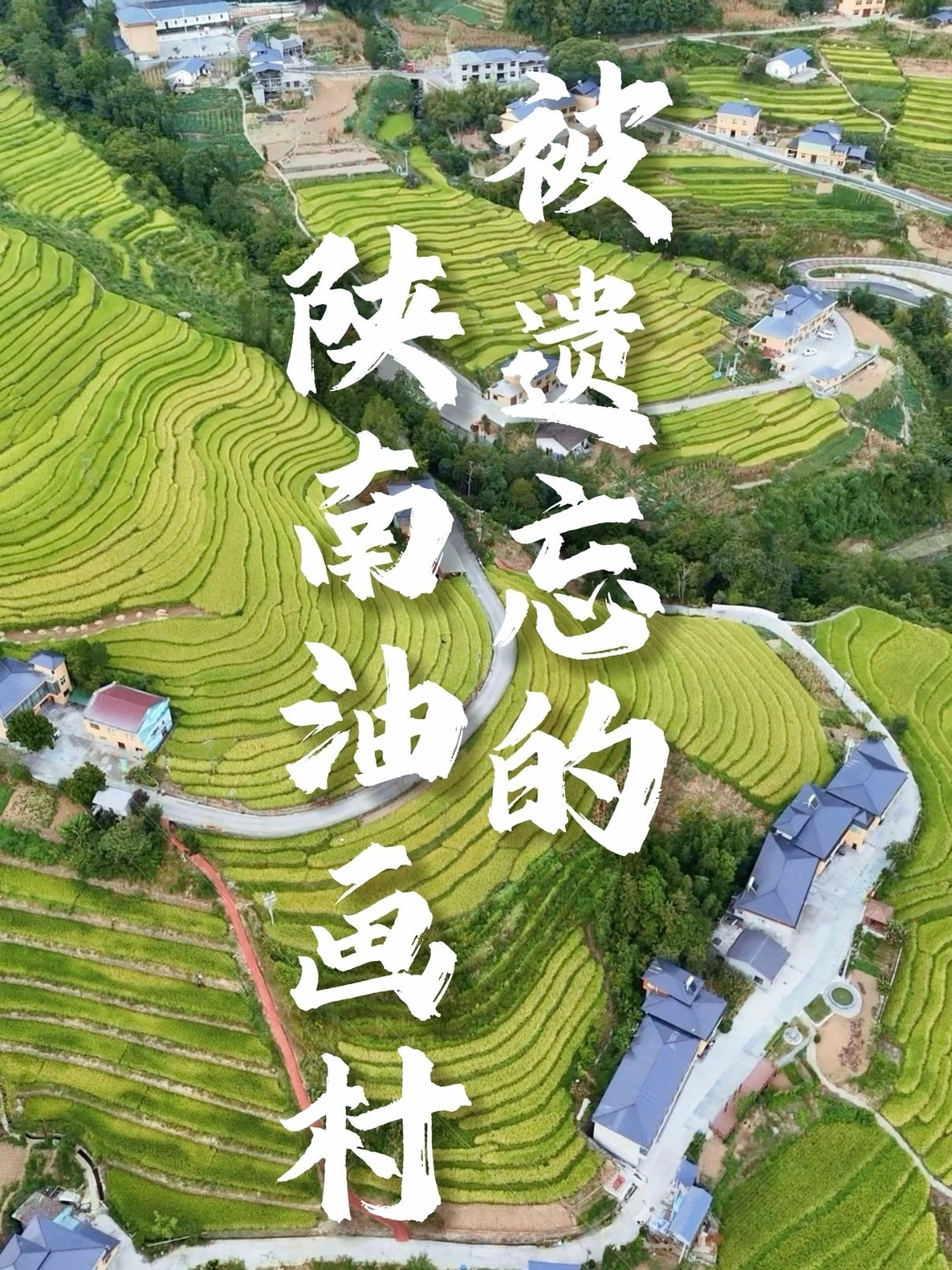 陕南油画梯田村落游玩攻略🌾