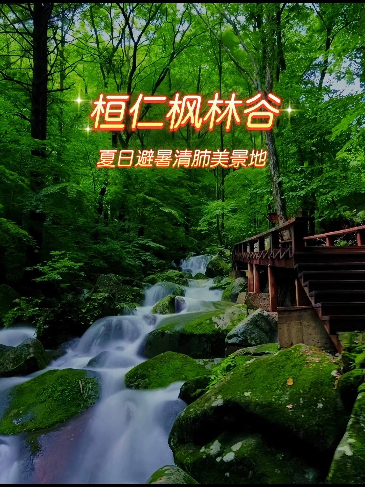 桓仁枫林谷｜夏日森林避暑游玩攻略🌿