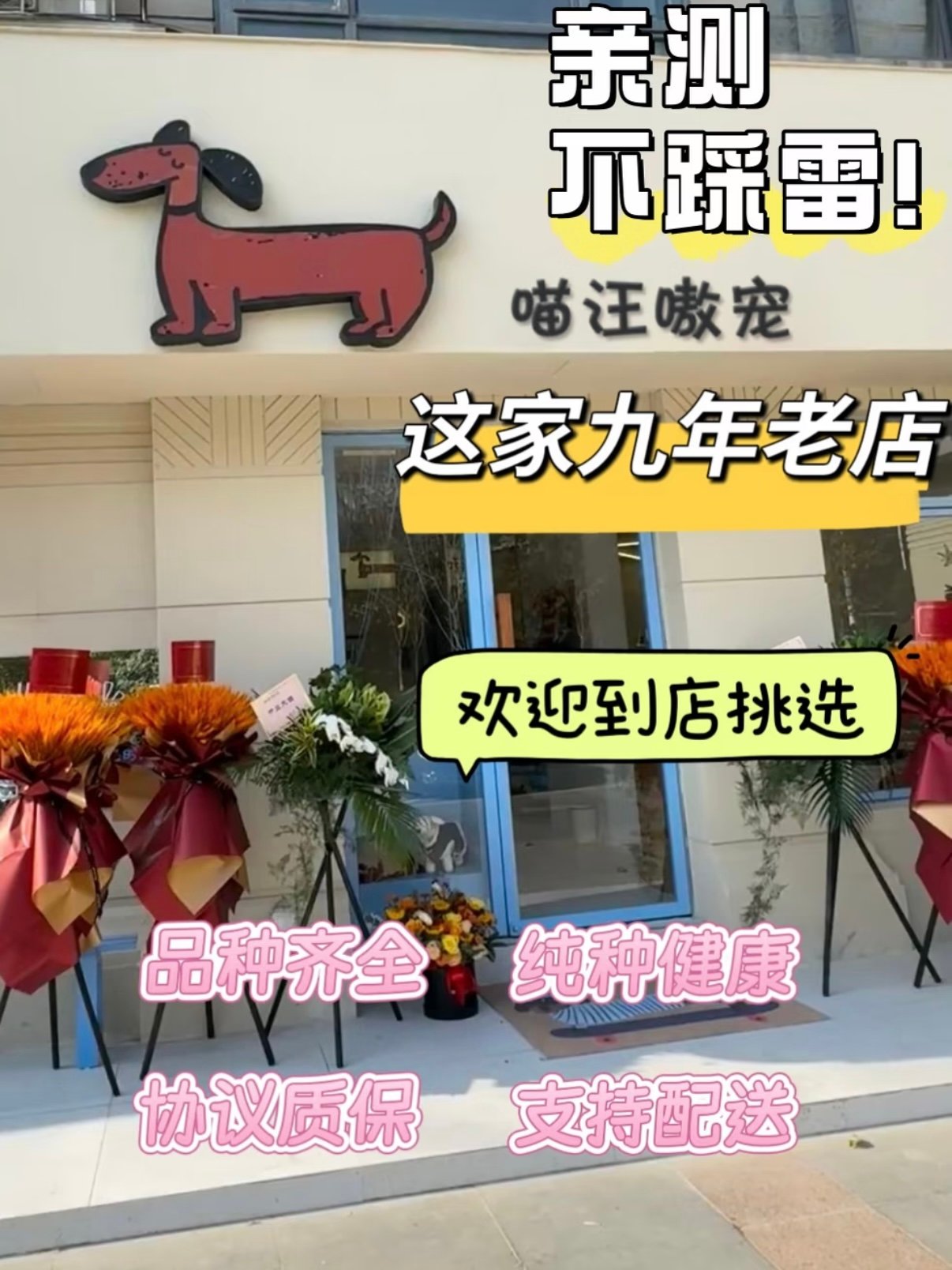 喵汪嗷宠｜9 年老牌靠谱宠物店选购攻略🐱🐶