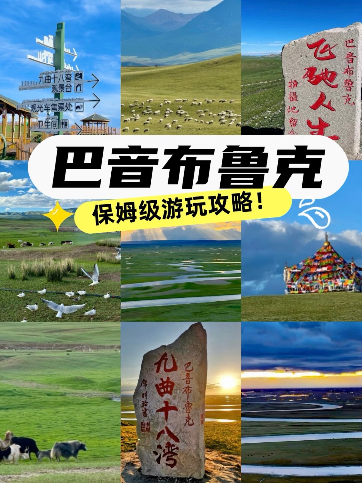 巴音布鲁克草原｜《飞驰人生》同款打卡地攻略