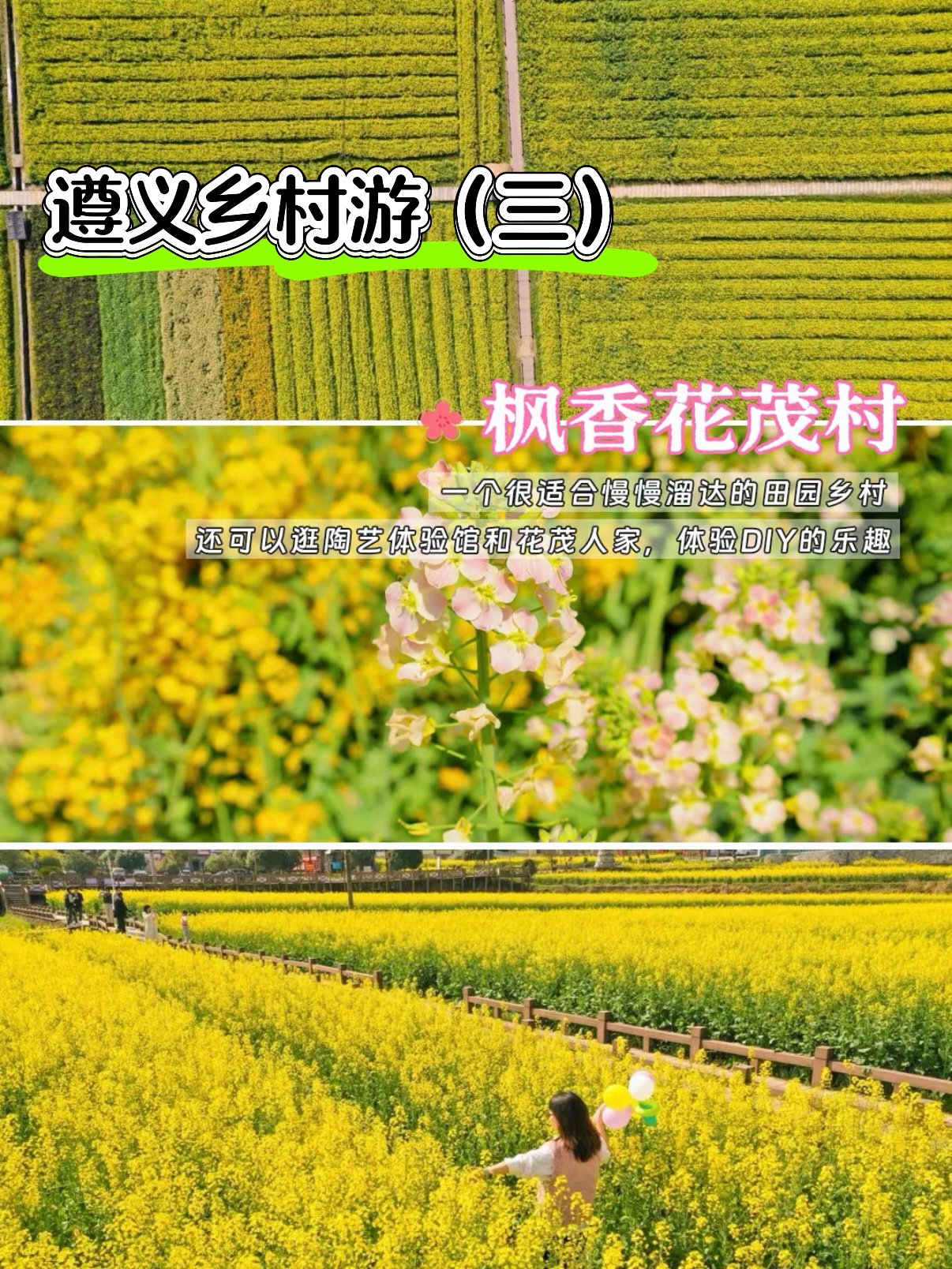 遵义乡村游（三）｜枫香花茂村🌼藏在田园里的文艺村落