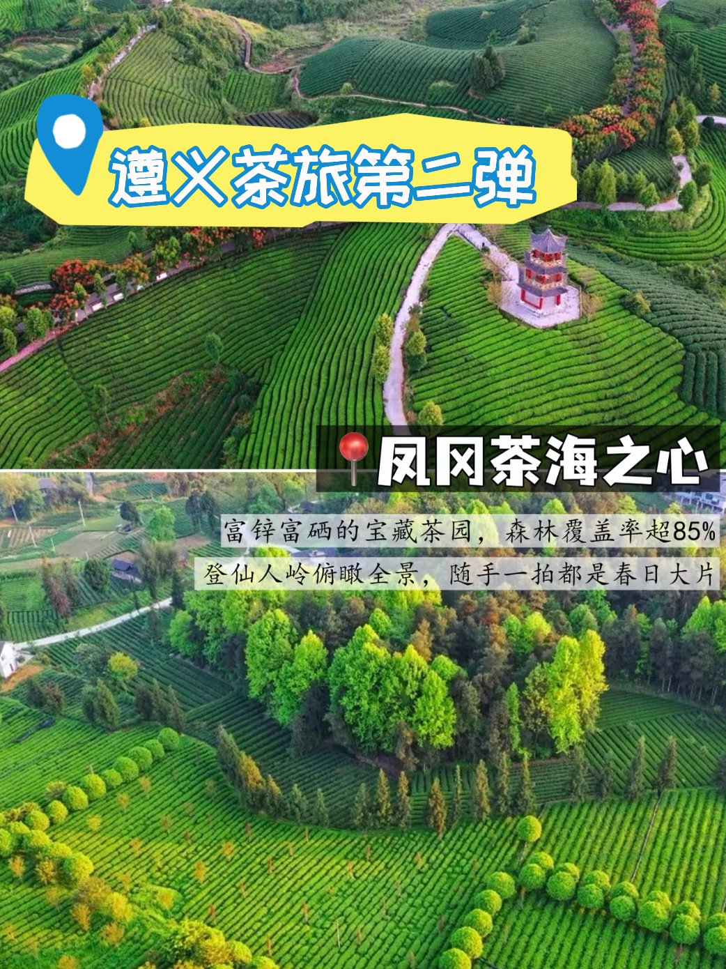 凤冈茶海之心游玩攻略｜富硒生态茶园秘境🍃