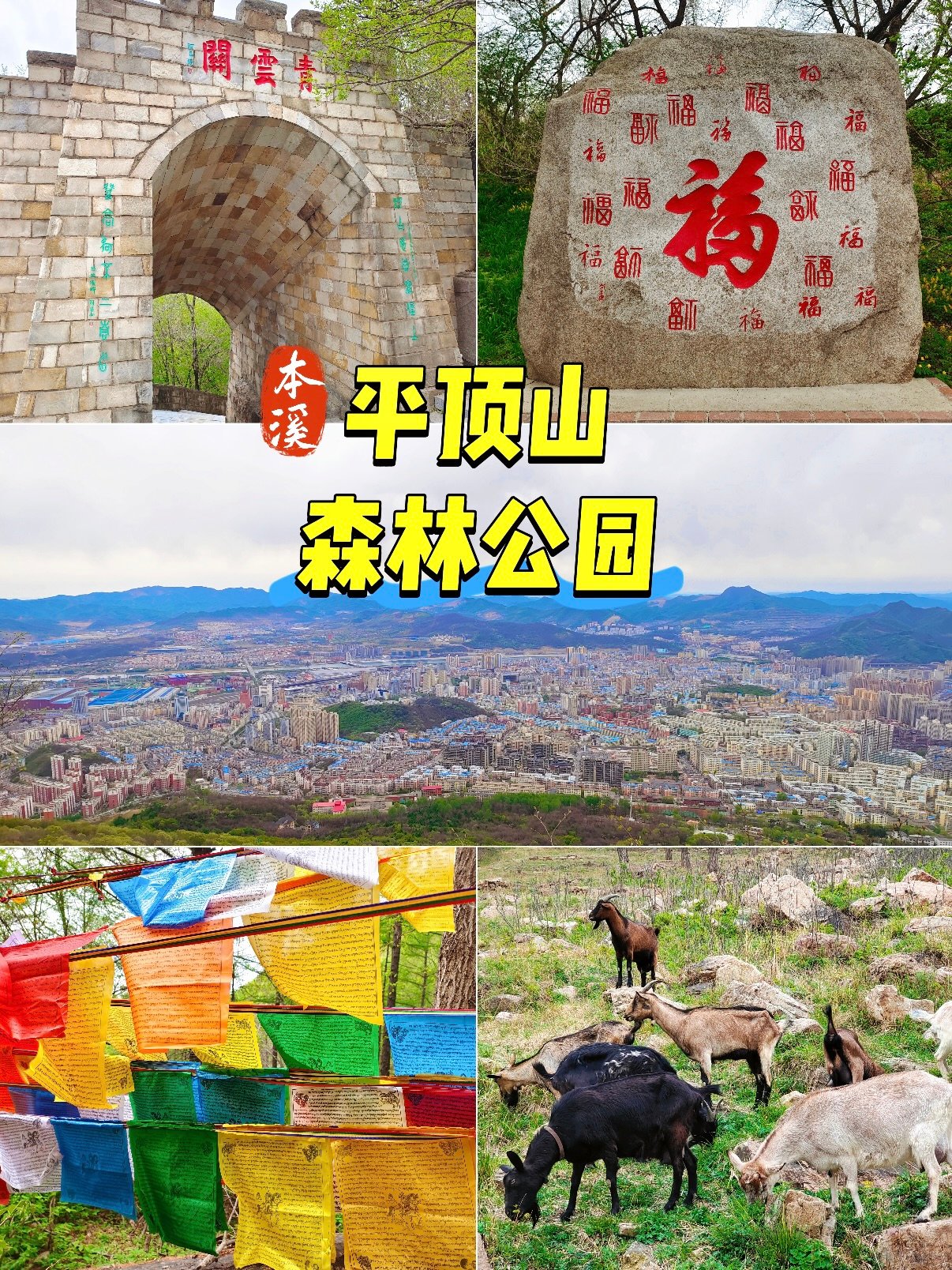 本溪平顶山森林公园｜城市制高点登山游玩攻略⛰️
