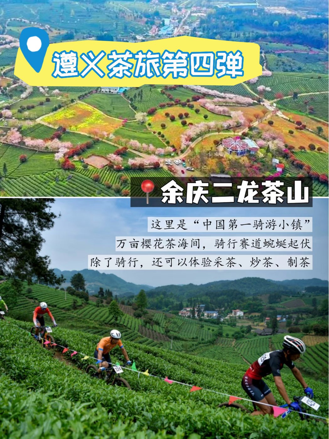余庆二龙茶山游玩攻略｜樱花茶园骑行秘境🚴‍♀️