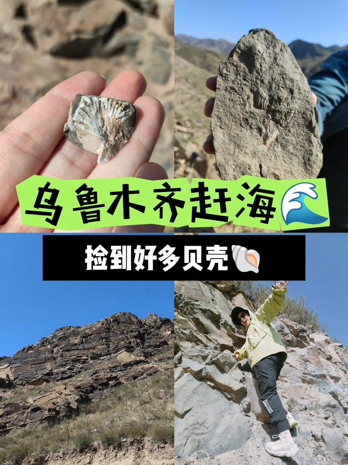 🌊 乌鲁木齐 “赶海”｜祁家沟化石秘境指南这里是乌鲁木齐周边
