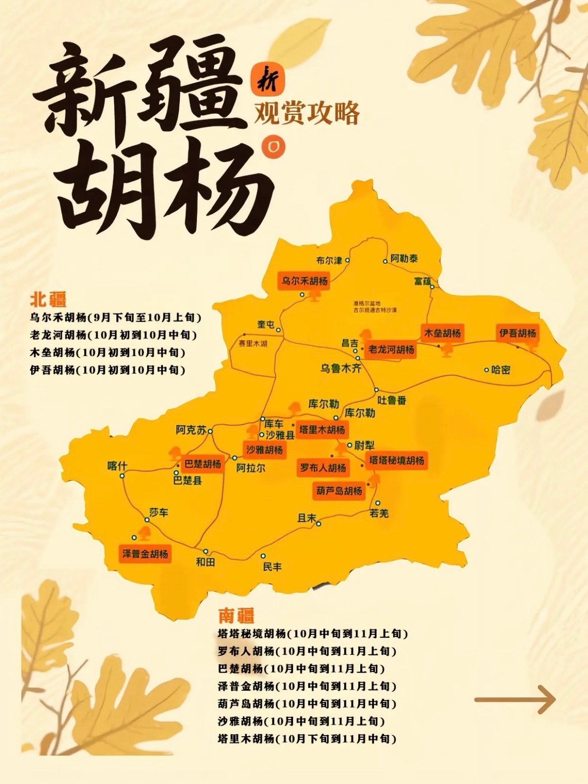 🍂 新疆胡杨观赏攻略｜一次看遍北疆到南疆的金色童话✨