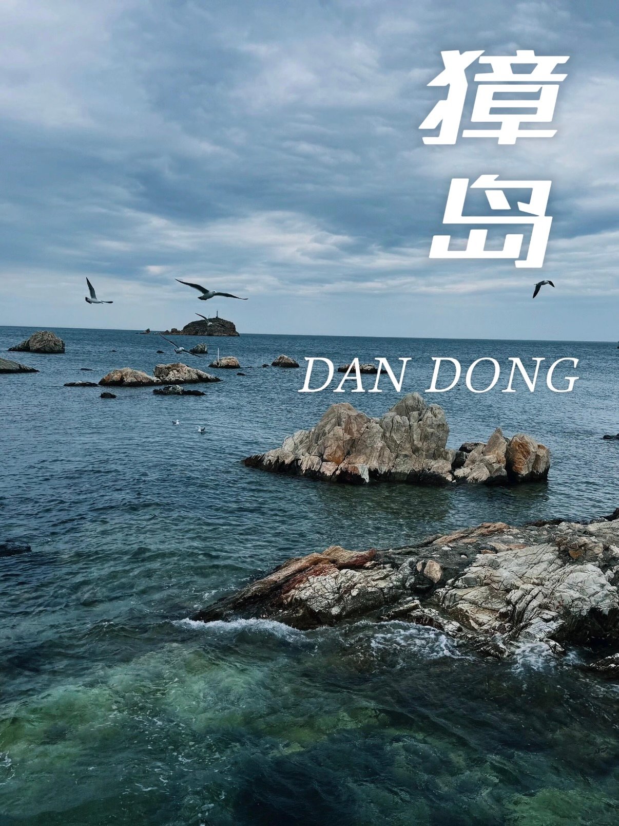 丹东獐岛｜原生态海岛看海小众攻略🌊