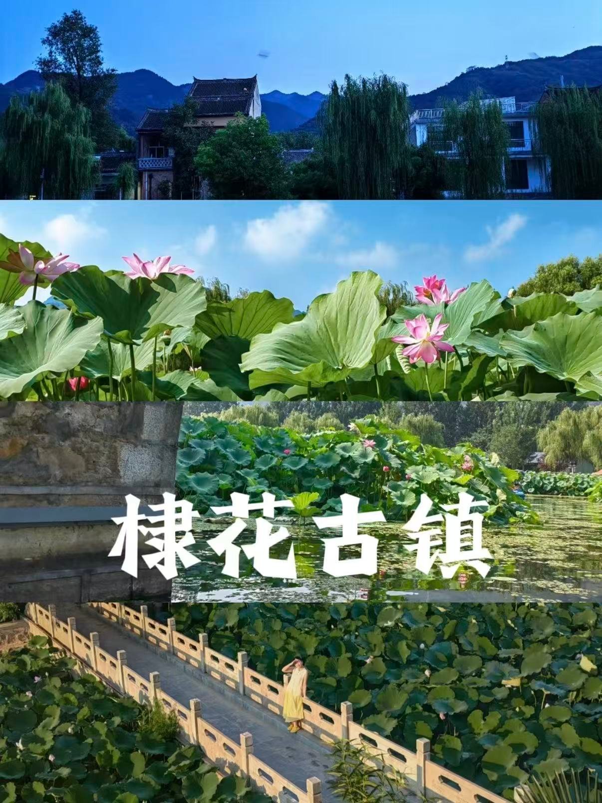 棣花古镇游玩完整攻略🪷