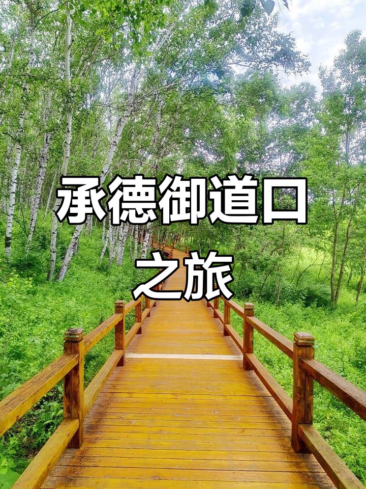 承德御道口草原森林风景区🌲｜皇家猎苑・草原林海