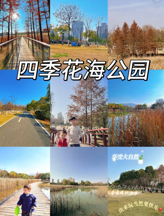漯河开源森林公园🌸｜城市绿肺・四季花海