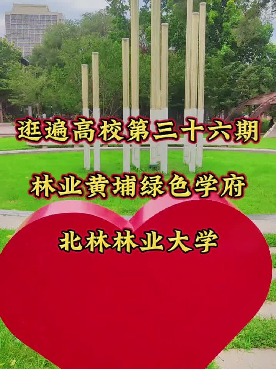 北京林业大学・森氧步道🌳｜森林校园・天然氧吧