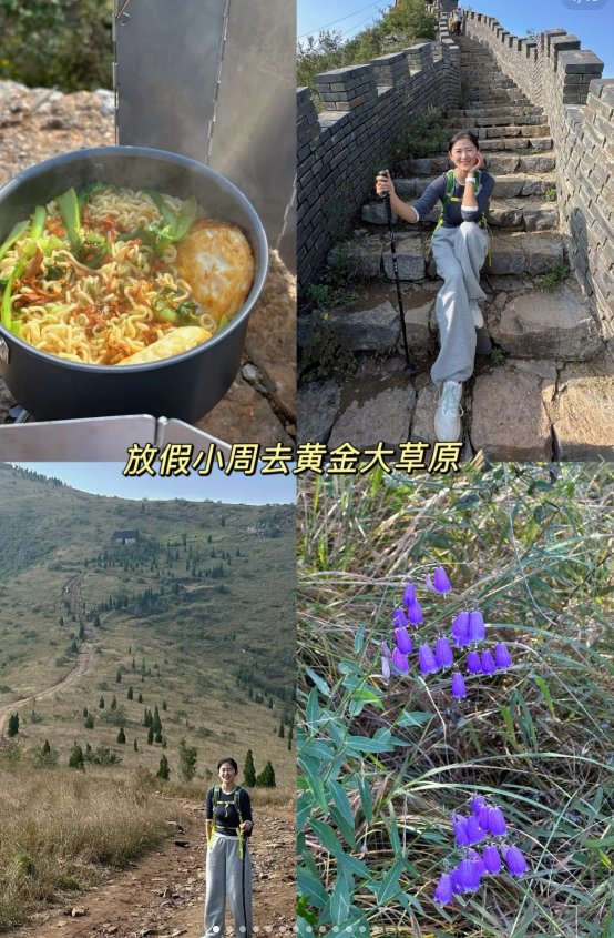 洛阳万安山黄金大草原🐑｜高山草原・金色花海