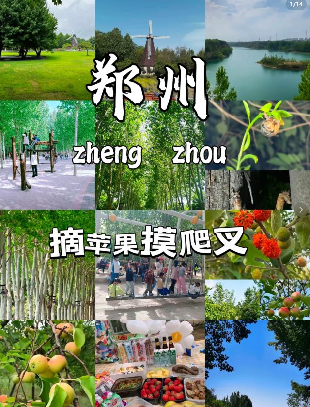 郑州松鼠部落森林营地🐿️｜亲子遛娃・轻露营
