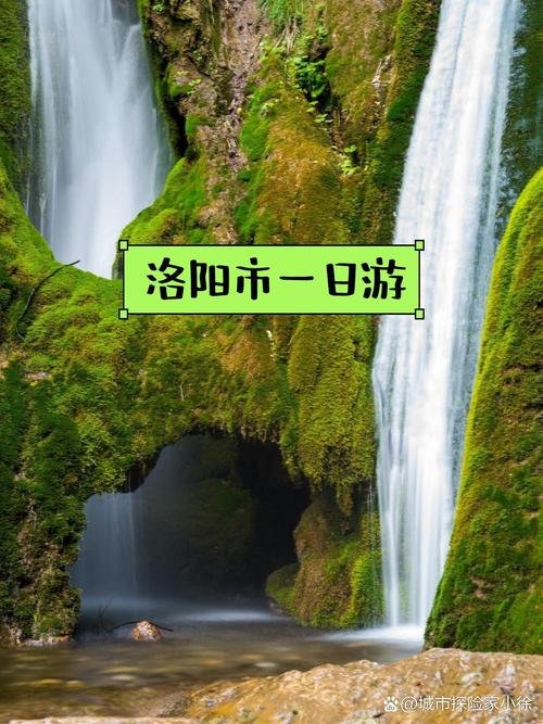 洛阳重渡沟🌿｜竹海溪流・避暑天堂