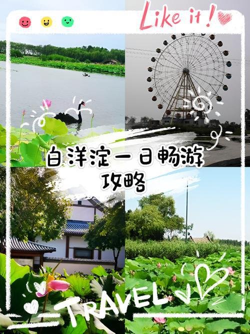 白洋淀💐｜华北明珠・芦苇荡荷花海・水乡童话