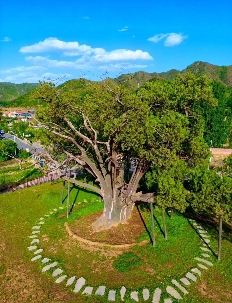 古御道生态旅游景区🌳｜密云古御道，历史与自然