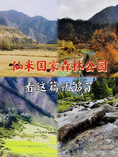 门源仙米国家森林公园🌲｜林海秘境・高原氧吧