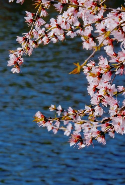 桃源仙谷🌸｜京郊童话峡谷・桃花溪流