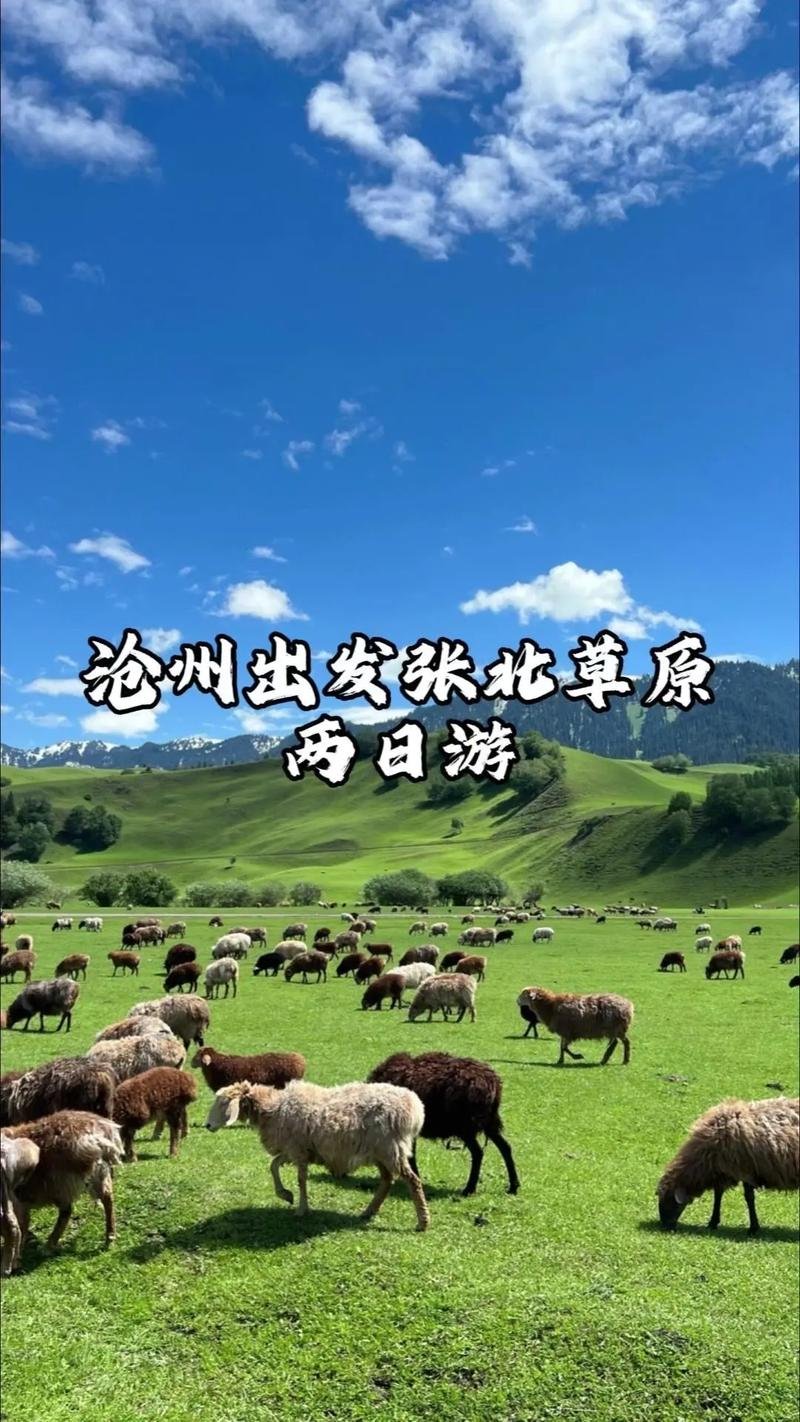 张家口张北草原🐎｜坝上草原・骑马露营